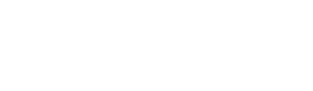 Logo concord skate blanco